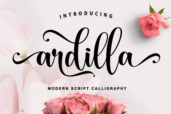 Ardilla Font: A Classic Calligraphy Script for Every Creator
